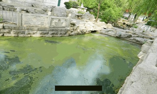 濟南專業垃圾渗濾液生(shēng)化處(chù)理(lǐ)設備