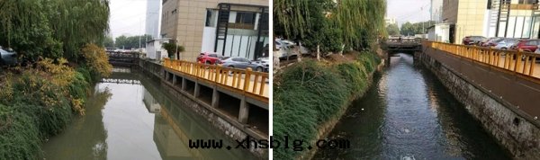 带(dài)你了(le)解河(hé)道(dào)生(shēng)物(wù)治理(lǐ)方(fāng)案(àn)